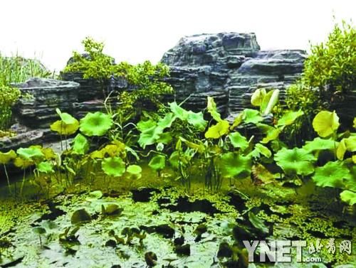 �������`�����e����