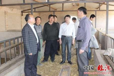 ���C�h�L������԰l(f��)���� �c�W(w��ng)�ϳ��S�Ɍ���