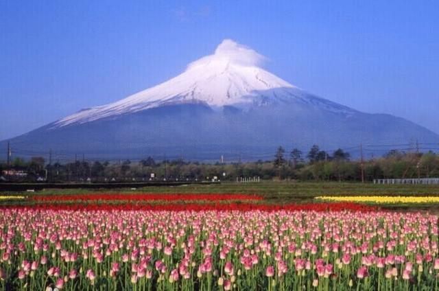 ��ʿɽ��ɽ·䁝M�S����߳������z�a(ch��n)���