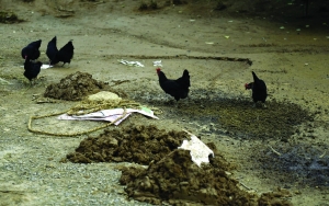 �^�y(c��)�c(di��n)��B(y��ng)�^(q��)������ǧֻ�u�����O(ji��n)�y(c��)�о�