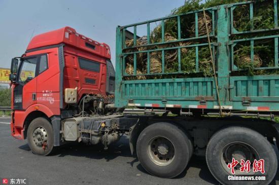 �岿�T��9��21������(y��n)�����p��܇���M(j��n)����ٹ�·