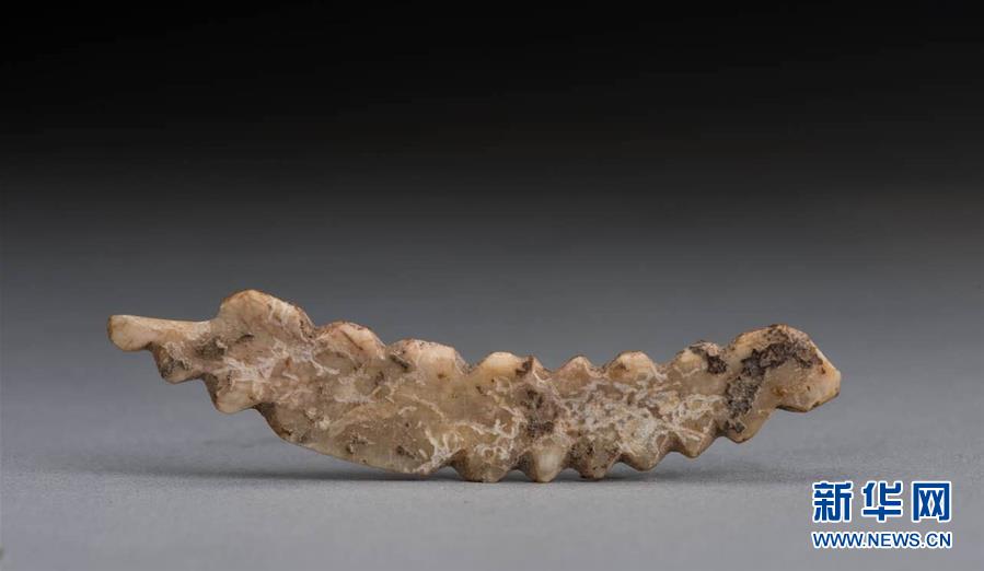 ���D�Ļ��ӣ���2�����ݿ��Ō��C5000����ǰ�Ї����������Q�ƽz