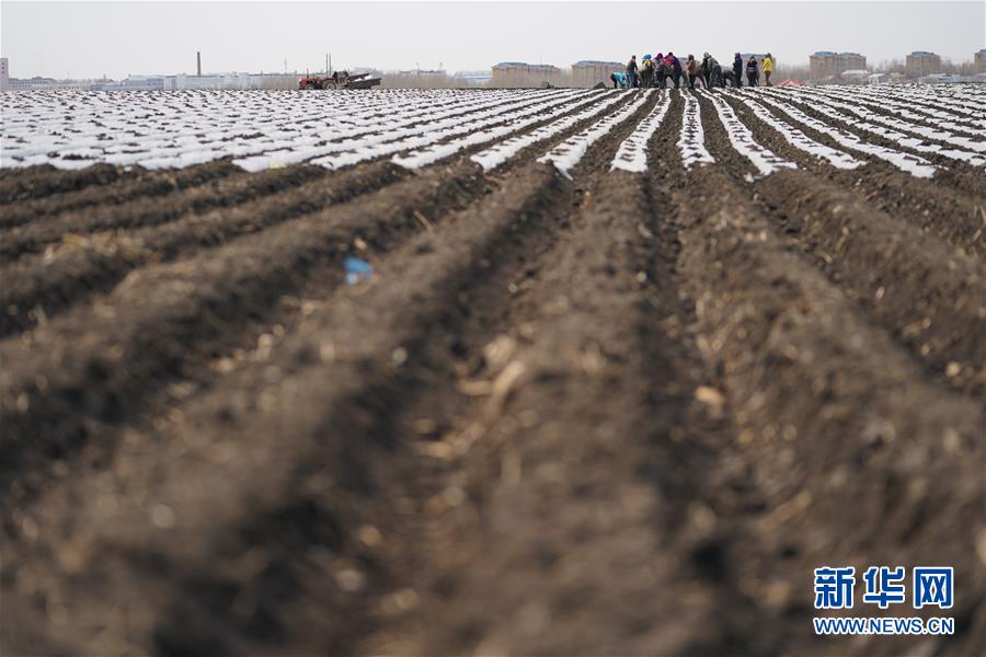 ������(x��)��ƽ�r(sh��)���Ї�(gu��)��ɫ���(hu��)���x˼��ָ���¡����r(sh��)����������ƪ�¡���(x��)��ƽ����(sh��)ӛ�P(gu��n)���¡��D�Ļ���(d��ng)����3��׌ÿһ����ض��ɞ��S�յ����������҇�(gu��)�ӏ�(qi��ng)���ر��o(h��)���M(j��n)���ؼZ�ڵء�