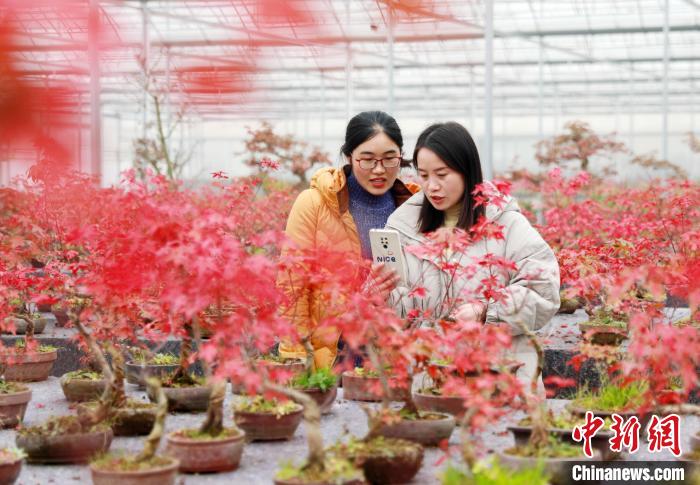 ���(y��ng)�h������ľ���a(ch��n)���ą^(q��)70%���ϵĴ�W(xu��)���I(y��)���x���l(xi��ng)��(chu��ng)�I(y��)�������A�� �z