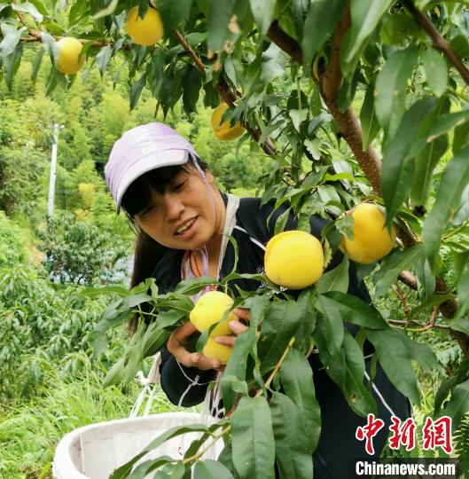 �踣�m�����Nֲ���S����(�Y�ψD) ���L�߹��D