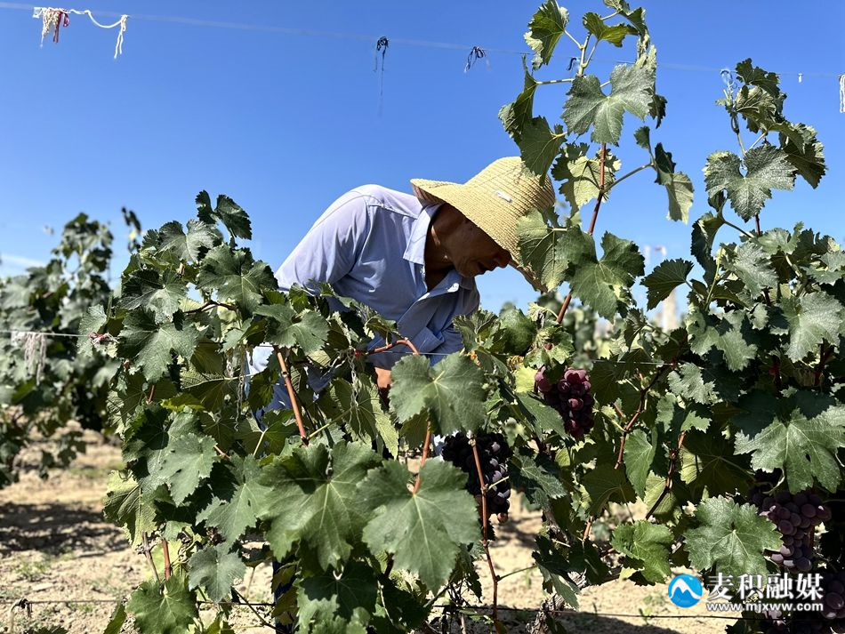 7f533a77279d6fb7f918176c1e54bb2