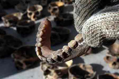 ���^���DƬ