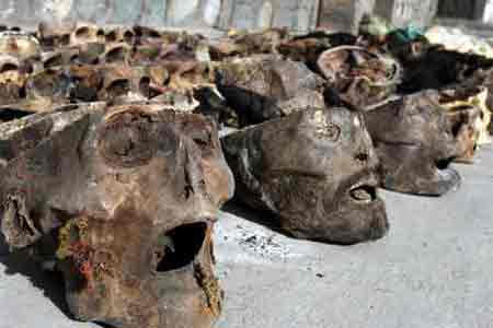 ���^���DƬ